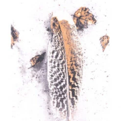 Office Wall Art W/ Feathered Plume & Autumn Leaves -Home Decor Shop A11698 4 650x650 1