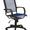 Black Office Chair With Blue Bungee Supports