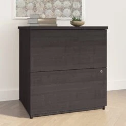 28" 2-Drawer Locking File Cabinet In Charcoal Maple