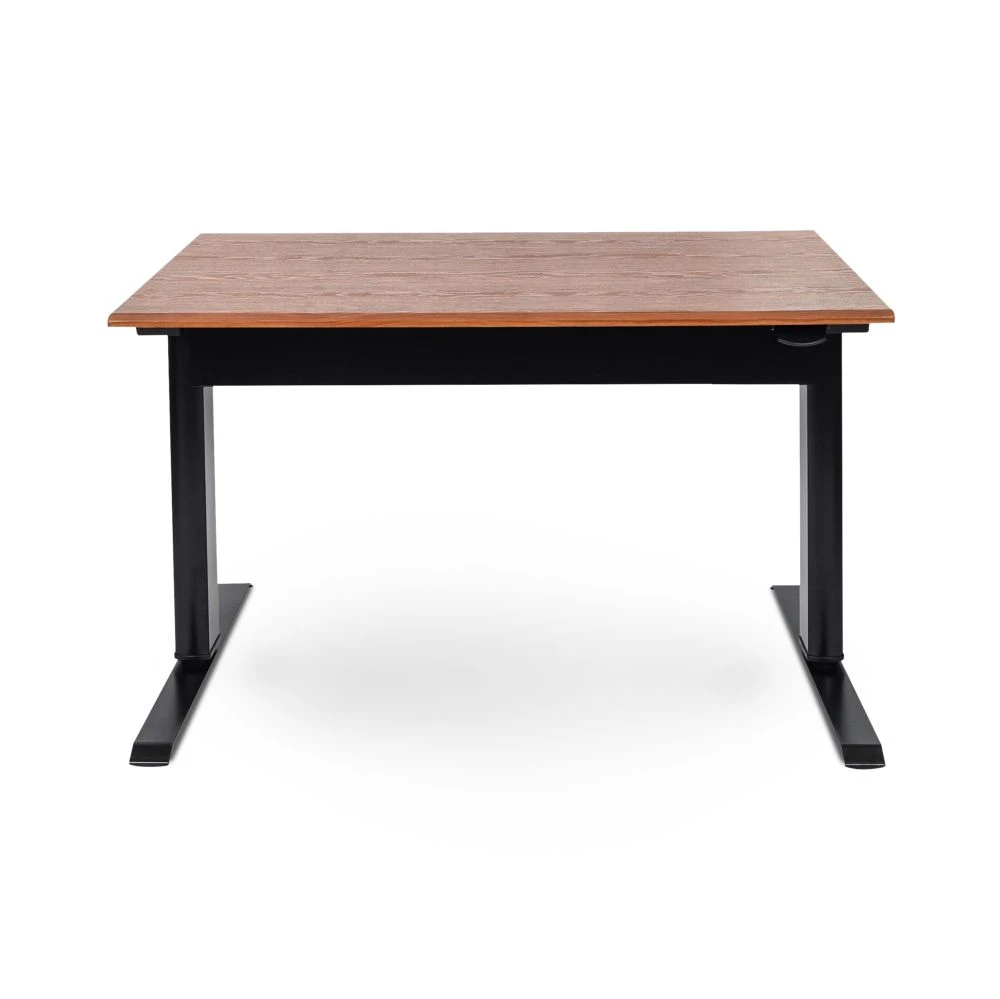 Luxor 48" Wood Veneer Standing Office Desk W/ Pneumatic Lift 1 Luxor 48" Wood Veneer Standing Office Desk W/ Pneumatic Lift